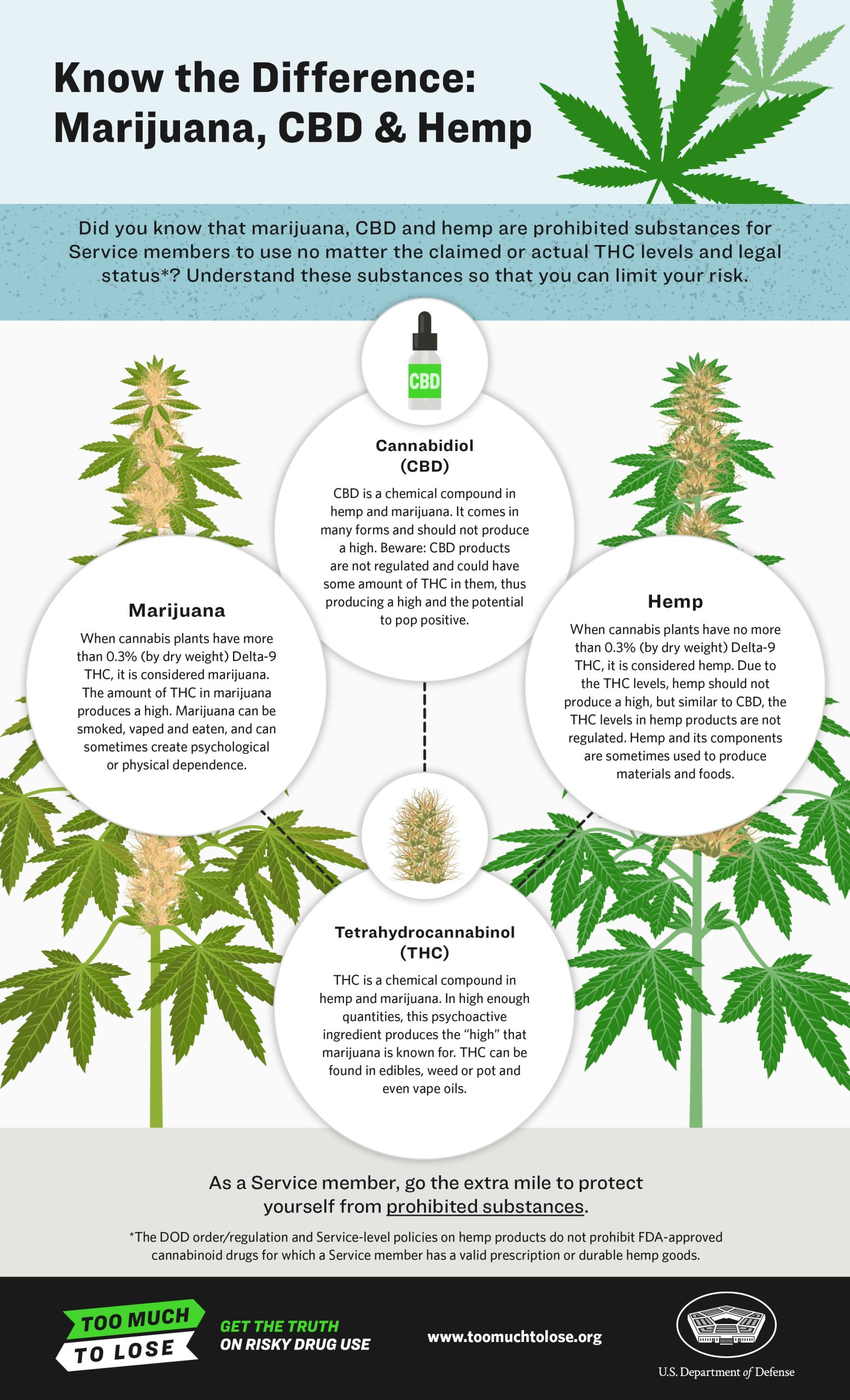 know the difference infographic image